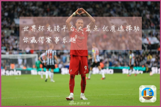 世界杯竞猜平台大盘点 优质选择助你赢得赛事乐趣