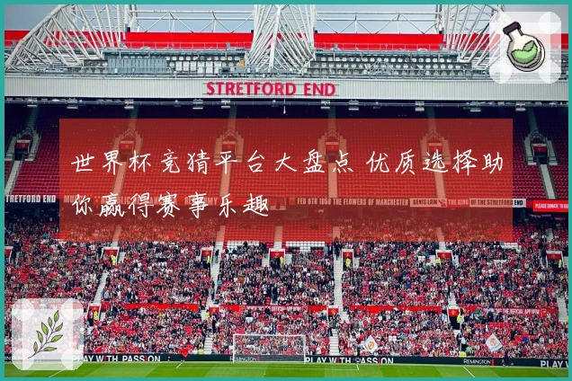 世界杯竞猜平台大盘点 优质选择助你赢得赛事乐趣