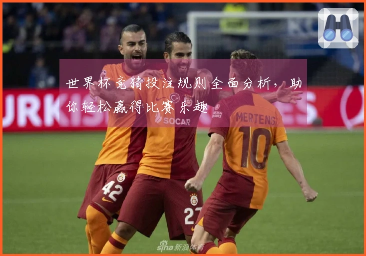 世界杯竞猜投注规则全面分析，助你轻松赢得比赛乐趣