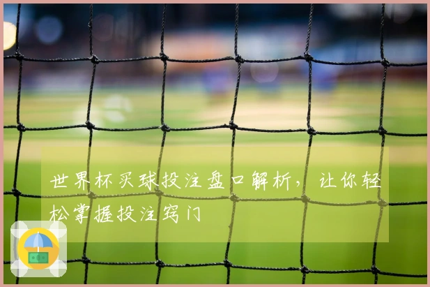 世界杯买球投注盘口解析，让你轻松掌握投注窍门